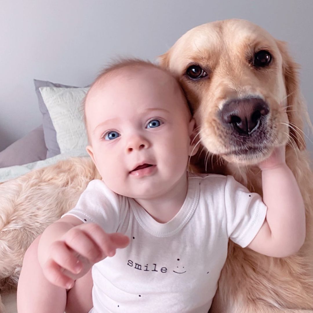 bebé posando con perro