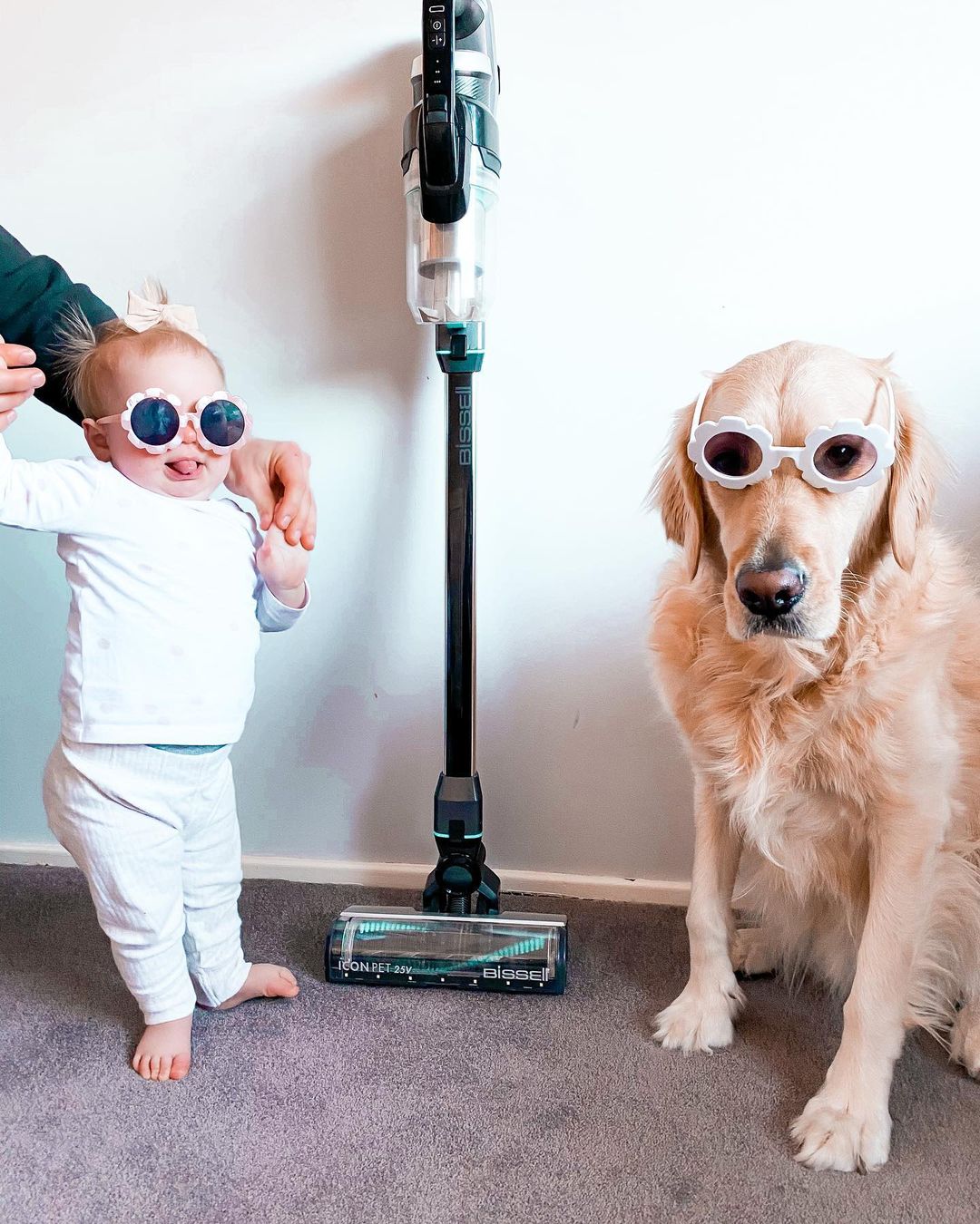 bebé y perro con gafas