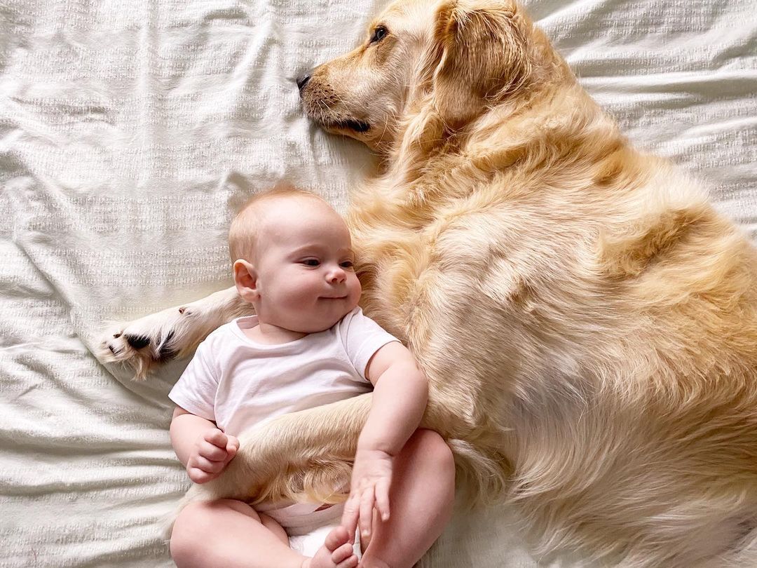 perro y bebé acostados en la cama