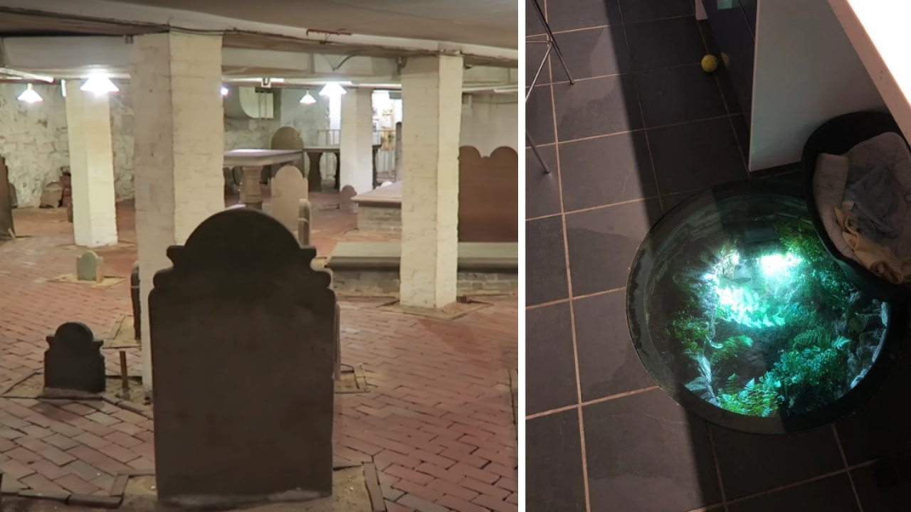 encontre algo raro en mi casa