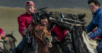 fotografia-analogica-caballos