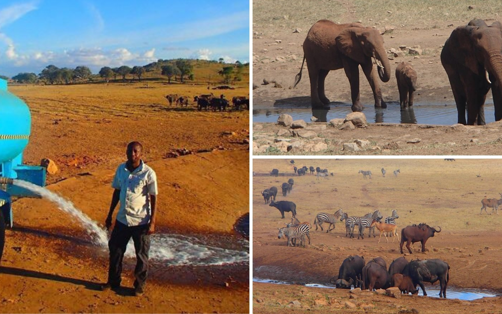hombre africano lleva agua a los animales