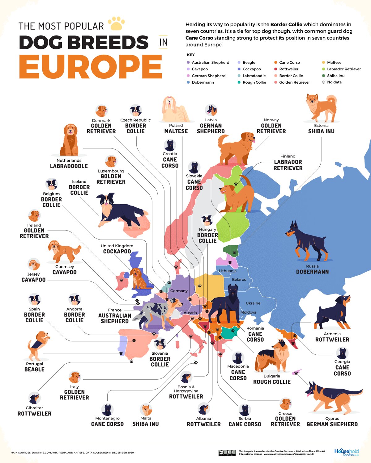 razas de perro más populares en Europa