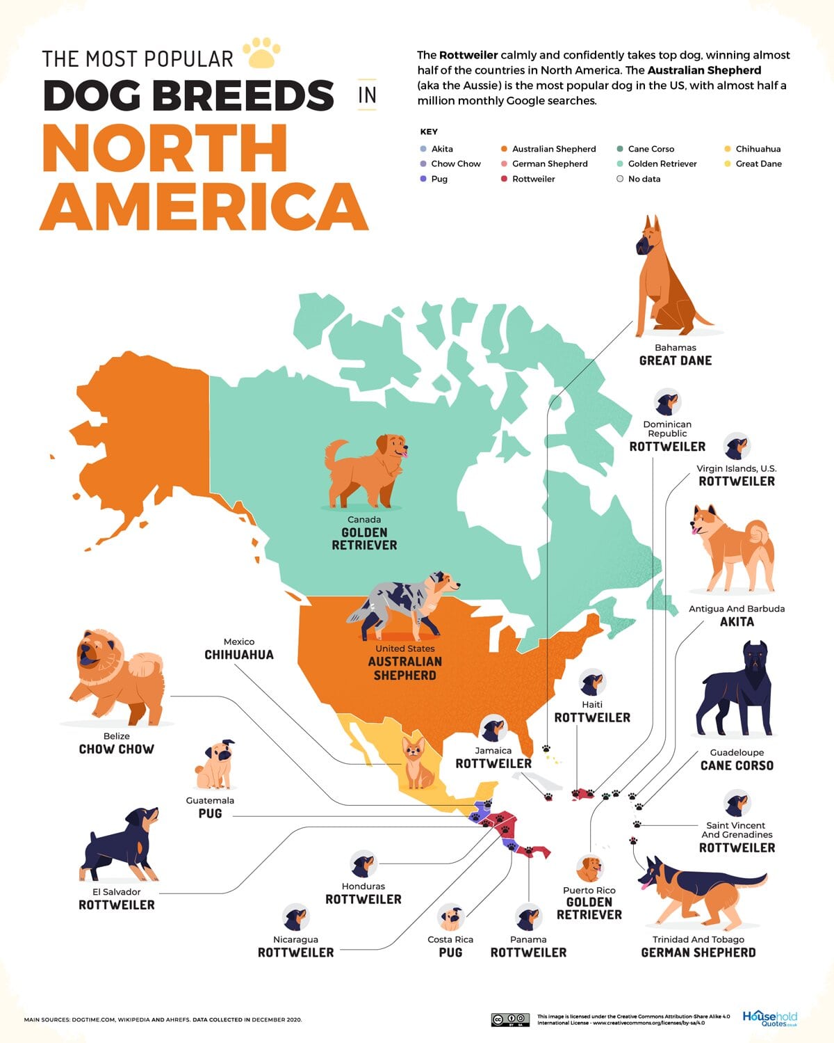 razas de perro más populares en Norteamérica