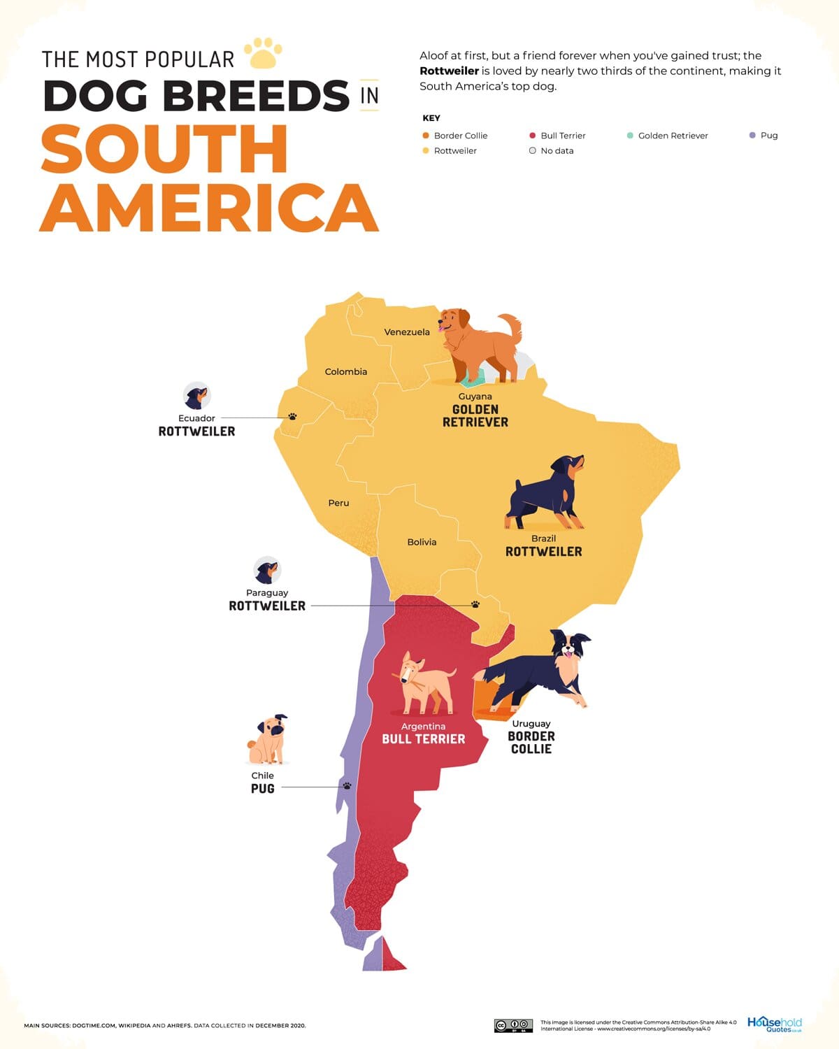 razas de perro más populares en Sudamérica 