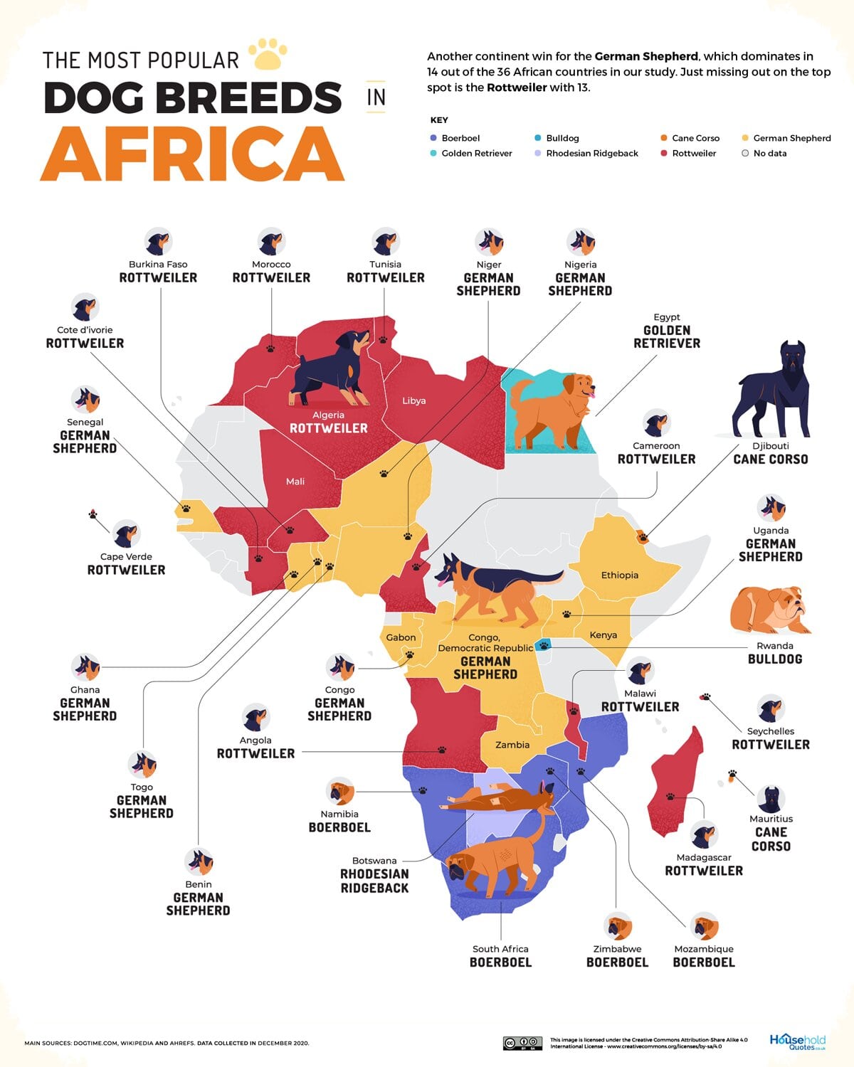 razas de perro más populares en áfrica