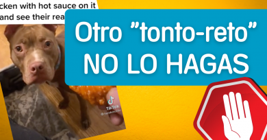 tonto-reto