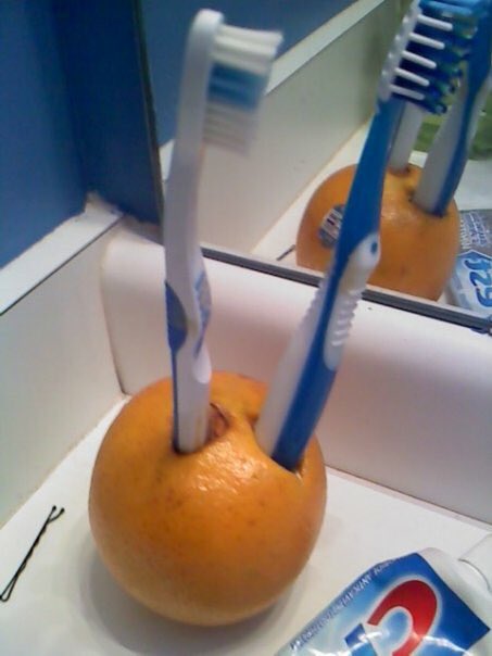 cepillos de dientes en naranjas