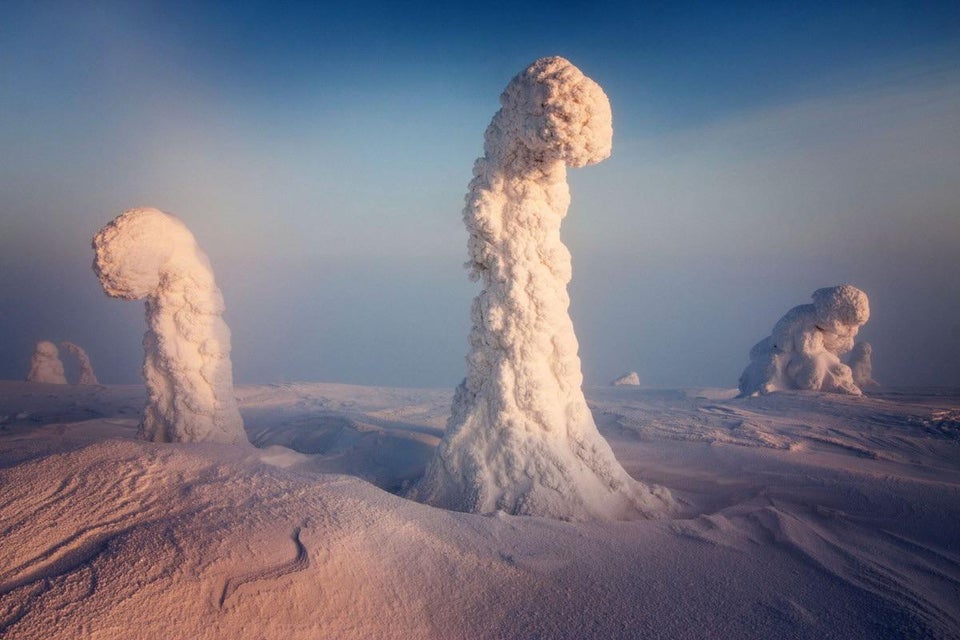Finlandia árboles nevados