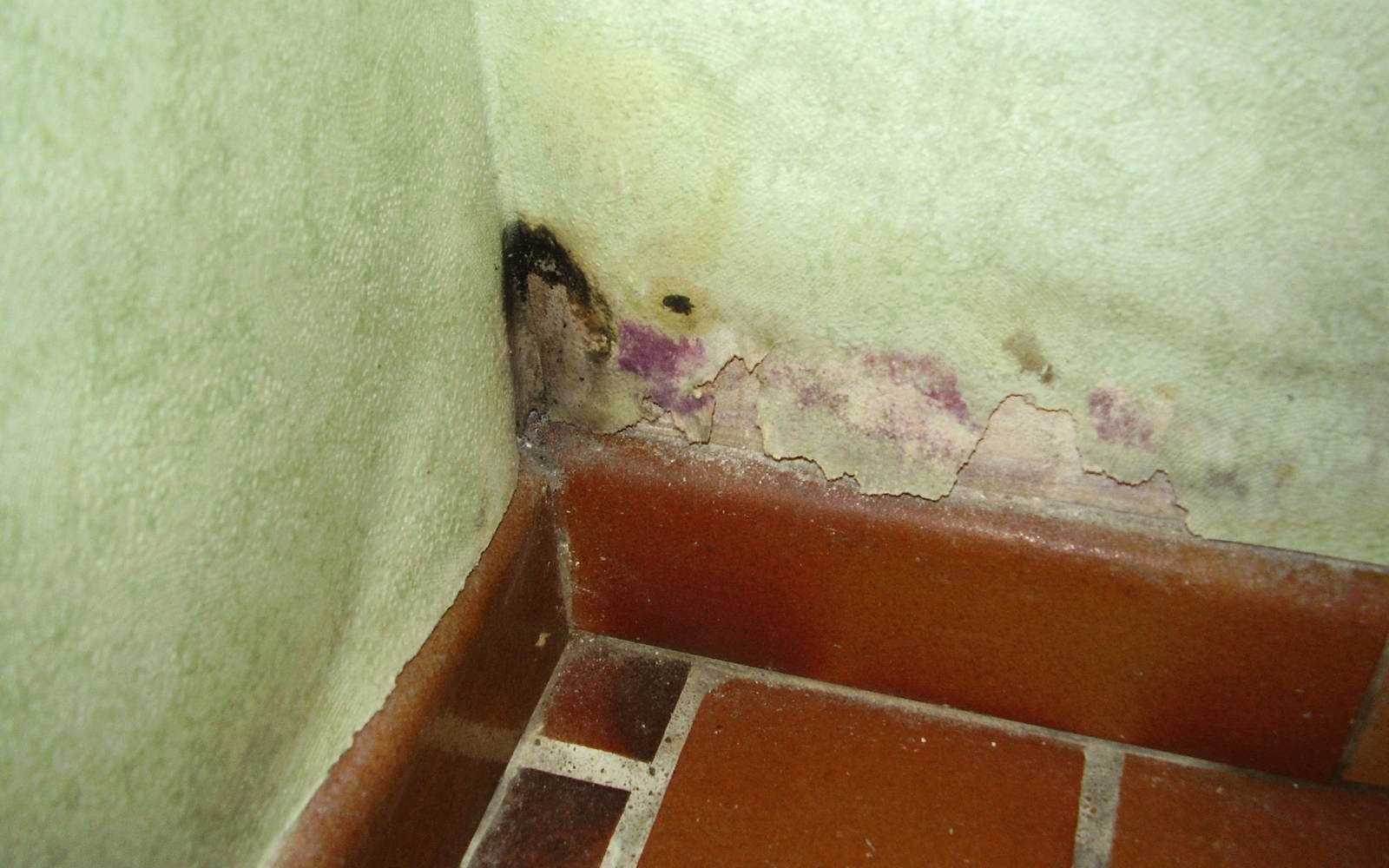 humedad por capilaridad