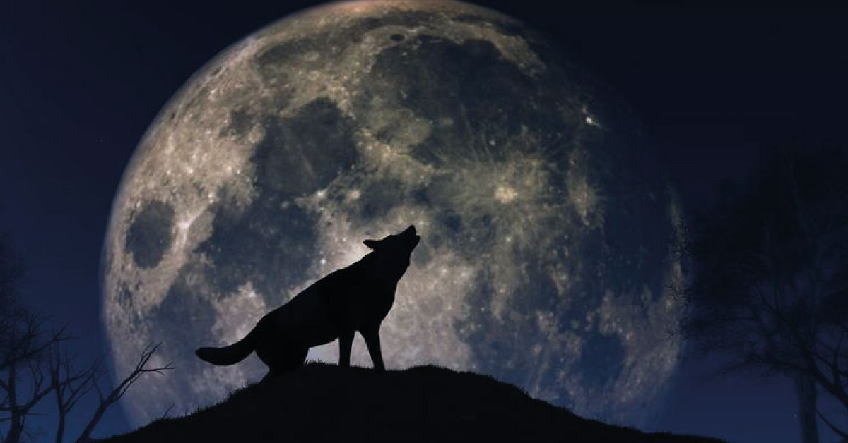 The wolf moon arrives, the first full moon of the year. Imageantra